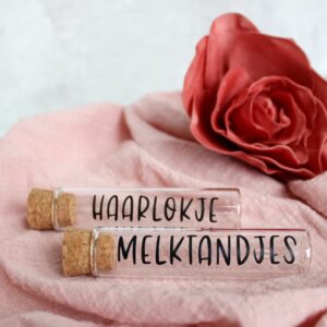 Bewaarbuisje melktandjes